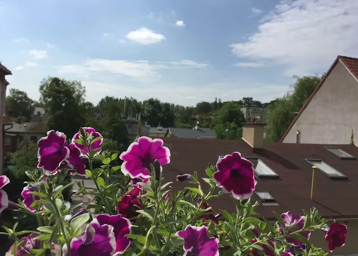 Chopina Loft Apartamento